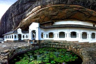 Private Departure Transfer : Dambulla Hotel to Airport Private Departure Transfer : Dambulla Hotel to Airport