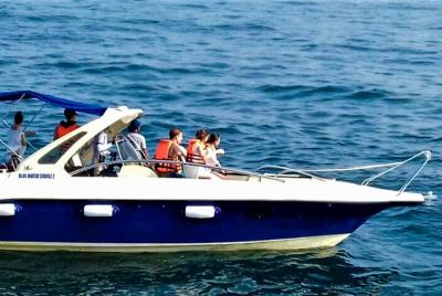 Whale Watching Boat Tour from Bentota Whale Watching Boat Tour from Bentota
