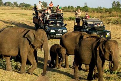Udawalawe National Park Safari. Private full day tour from Bentota. Udawalawe National Park Safari. Private full day tour from Bentota.