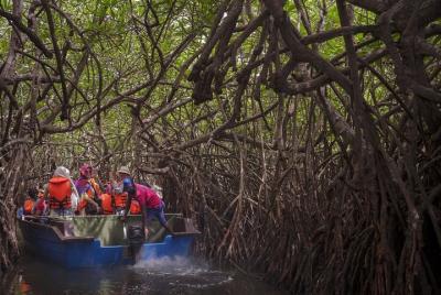 Bentota ~ Special private guide day tour; Solo ;Couple ;Group Bentota ~ Special private guide day tour; Solo ;Couple ;Group