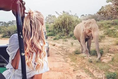 Wild Safari Udawalawe from Bentota Wild Safari Udawalawe from Bentota