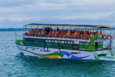 Whales & Dolphin Watching Day Tour From Induruwa Whales & Dolphin Watching Day Tour From Induruwa