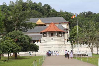 Private All Inclusive Kandy Tour from Bentota and Beruwela Private All Inclusive Kandy Tour from Bentota and Beruwela