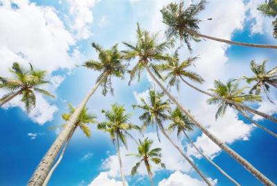 Ahungalla Hotel To Airport (CMB) Departure Transfers Ahungalla Hotel To Airport (CMB) Departure Transfers