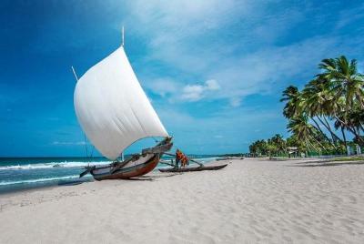 Negombo City And Fishing Village Private Day Tour From Colombo Negombo City And Fishing Village Private Day Tour From Colombo