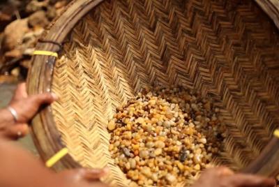 Explore Gem Mines in Rathnapura from Mount Lavinia Explore Gem Mines in Rathnapura from Mount Lavinia