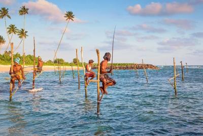 Day Trip to Galle & Stilt fishing Experience From Colombo