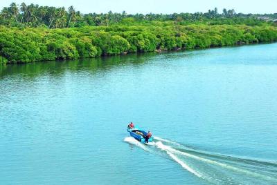 Birdwatching Boat Ride in Muthurajawela Marsh from Mount Lavinia Birdwatching Boat Ride in Muthurajawela Marsh from Mount Lavinia