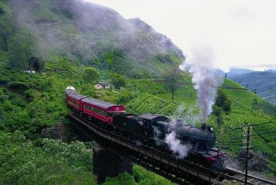 Wayanga tours-private driver Sri Lanka  Wayanga tours-private driver Sri Lanka