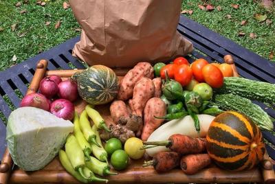 Be a Sri Lankan Cultivator for 02 Days in a Village Be a Sri Lankan Cultivator for 02 Days in a Village