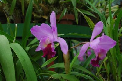 Pleasant Lanka Tours is provide very friendly service for the guests