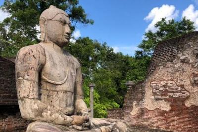 Transfers & Guide Transfers & Guide