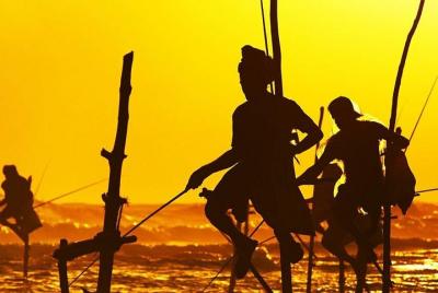 Family-Friendly Private Galle City Tour Family-Friendly Private Galle City Tour