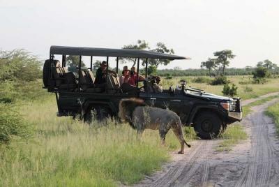 2-Day Chobe Park Safari Tour with Overnight at Victoria Falls 2-Day Chobe Park Safari Tour with Overnight at Victoria Falls