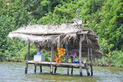 Bentota City Tour from Unawatuna Bentota City Tour from Unawatuna