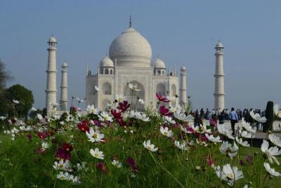 Delhi to Agra and Taj Mahal Private Day Trip by Express Train wit Delhi to Agra and Taj Mahal Private Day Trip by Express Train wit