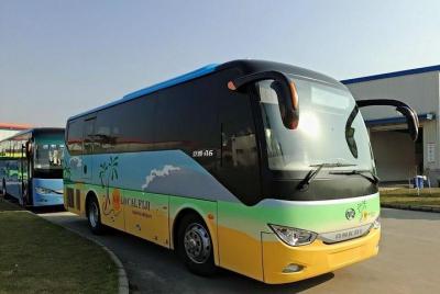 Shared Transfer (SIV) from Nadi Airport to Nadi Hotels/Denarau Hotels