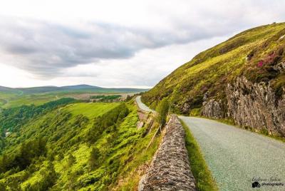Wicklow Scenic and Musical History Coach Tour Wicklow Scenic and Musical History Coach Tour