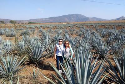Tequila Tour Route