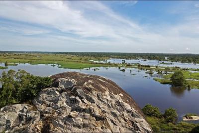Kalametiya Sanctuary Birdwatching Boat Ride Kalametiya Sanctuary Birdwatching Boat Ride