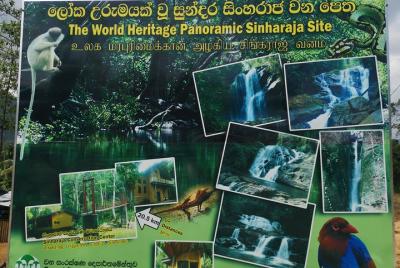 Galle Sinharaja Rain Forest by motorcycle   Galle Sinharaja Rain Forest by motorcycle