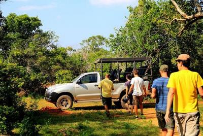 Private Tour : Yala National Park Safari Private Tour : Yala National Park Safari