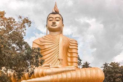 Wild Wonders and Hidden Temples from Galle (2 Days) Wild Wonders and Hidden Temples from Galle (2 Days)