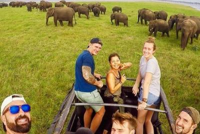 Six Days Of Wild Life Exploration Tour Six Days Of Wild Life Exploration Tour