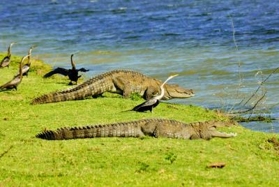 Bundala National Park, Private Safari Tour Bundala National Park, Private Safari Tour