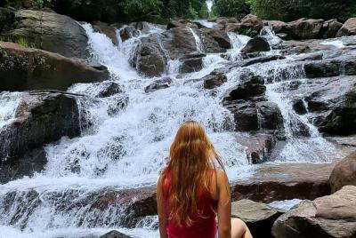 Trekking and Bird Watching in Kanneliya Rain Forest Trekking and Bird Watching in Kanneliya Rain Forest