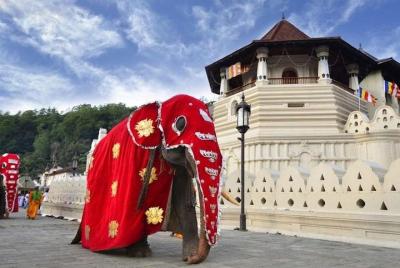 Private Day Tour Of Kandy From Galle and Hikkaduwa. Private Day Tour Of Kandy From Galle and Hikkaduwa.