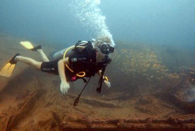 Fun Dives For Certified Divers  Fun Dives For Certified Divers