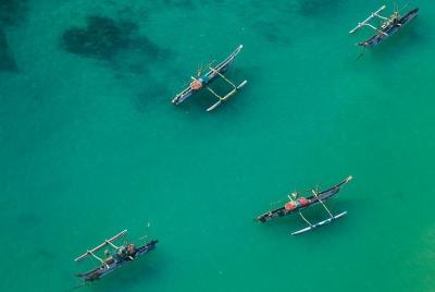 Small-Group Animal Friendly Whale Watching by Air in Habaraduwa Small-Group Animal Friendly Whale Watching by Air in Habaraduwa