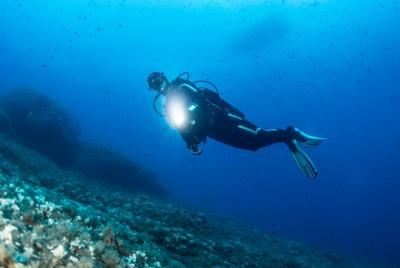 Scuba Diving at night in Mirissa