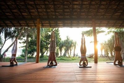 yoga class Sri Lanka - Aerial yoga (Ayurveda wellness package) 