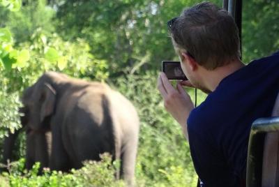 Full Day Yala Safari with Picnic Lunch from Hambantota Harbour  Full Day Yala Safari with Picnic Lunch from Hambantota Harbour