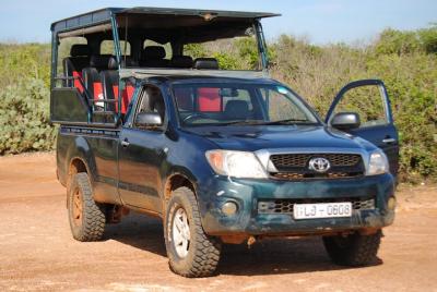 Private Day Trip to Yala from Tangalle with Lunch Private Day Trip to Yala from Tangalle with Lunch