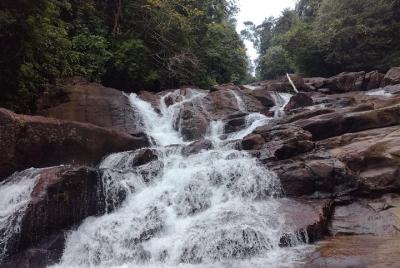 Kanneliya Rain Forest exploration with Noyel Kanneliya Rain Forest exploration with Noyel