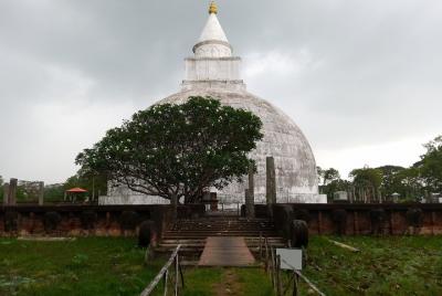 Hambantota port cruise special Yala Tour