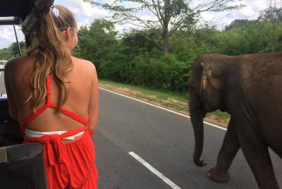 Yala Safari Drive From Galle, Weligama, Mirissa & Dickwella