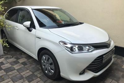 Galle City to Udawalawe City Private Transfer