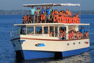 Whale Watching Boat Tour from Talpe Whale Watching Boat Tour from Talpe