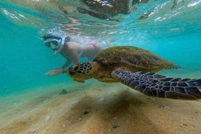 Snorkling and Sea Turtles Hikkaduwa Snorkling and Sea Turtles Hikkaduwa