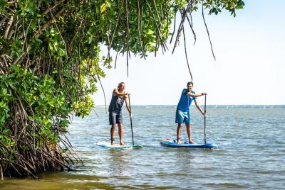 Stand Up Paddling Lagoon Tour in Hikkaduwa Stand Up Paddling Lagoon Tour in Hikkaduwa
