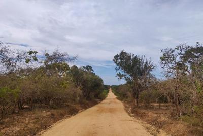 Yala National Park Safari from Talpe Yala National Park Safari from Talpe