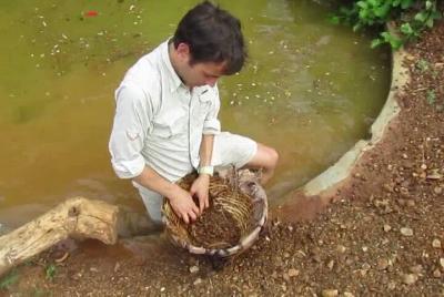 Explore Gem Mines in Rathnapura from Negombo Explore Gem Mines in Rathnapura from Negombo