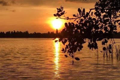 Bentota Catamaran (traditional) Boat Ride  Bentota Catamaran (traditional) Boat Ride