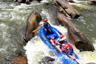 Private Vehicle/Day tour of Kandy to kithulgala adventure