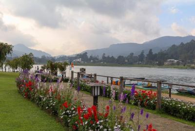 Nuwara Eliya - Mystic Mountain Encounter 