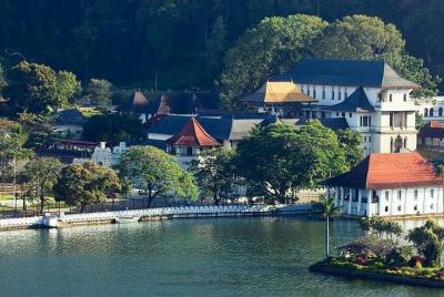 Private day tour kandy to nuwara eliya tea plantation  Private day tour kandy to nuwara eliya tea plantation